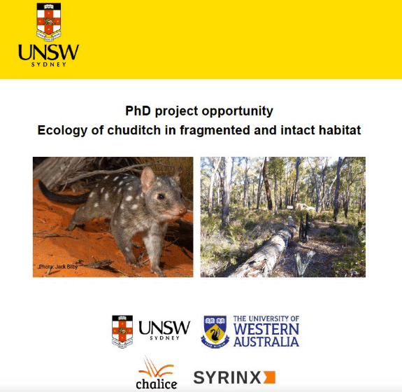 PhD Project Opportunity – Ecology of chuditch in fragmented and intact habitat